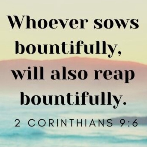 Offers - Picture 4 of 16